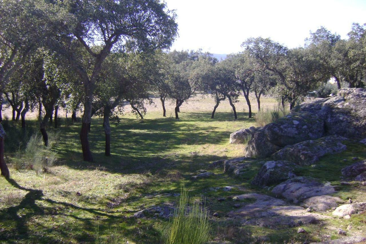 Tapada Da Beira Villa Marvão Екстериор снимка